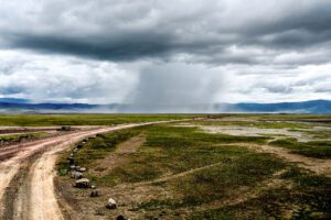 Besoin d'un Parapluie ? Une image de la puissance et de la beauté de la pluie en Tanzanie