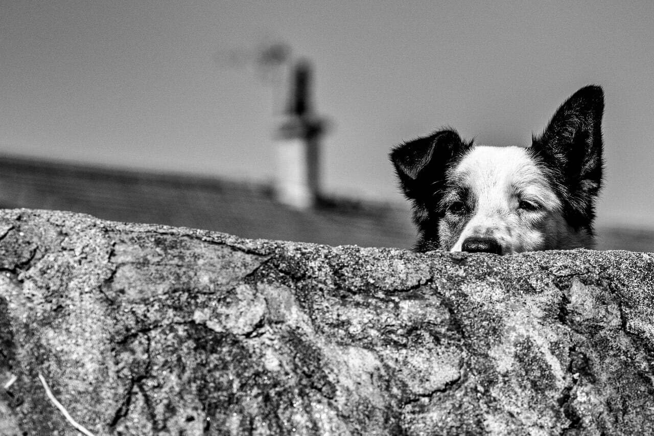 Commère est plus qu'une photographie, c'est une fenêtre sur un monde riche en histoires, un tableau vivant en noir et blanc qui capture l'essence du jeu de Mikado.