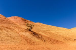 "Eien no Ki 5" est bien plus qu'une simple photographie. C'est un voyage coloré au cœur de la Provence, où l'ancien et le moderne se rencontrent, et où l'arbre solitaire nous enseigne une leçon de survie et de résilience. Plongez dans cette expérience inspirante et laissez-vous emporter par la beauté de l'Arbre Éternel.