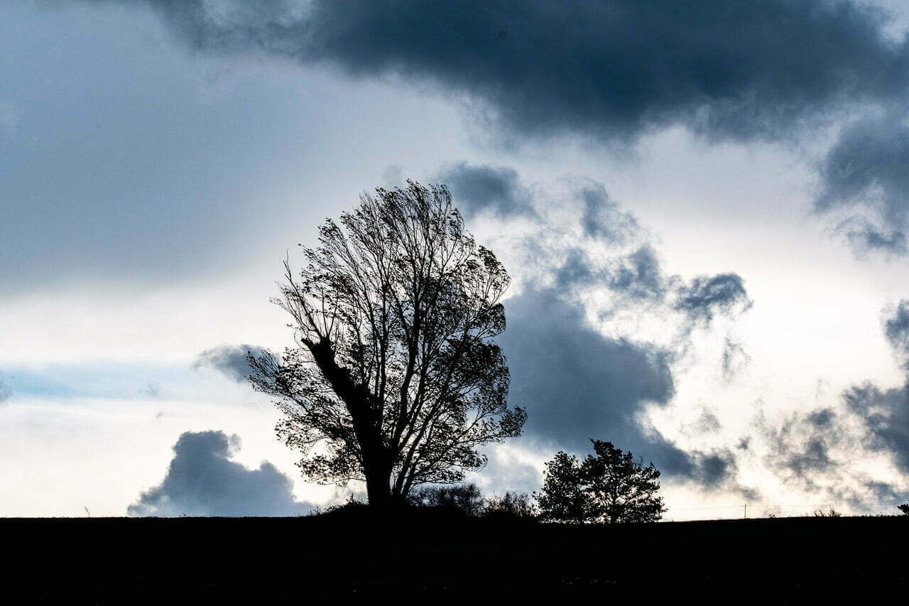 "Eien no Ki 6" invite les spectateurs à contempler la beauté éternelle de l'Arbre Éternel face au vent puissant du printemps. Cette photo capture la grâce, la résilience et la force de la nature, offrant une expérience inspirante et captivante. Laissez-vous emporter par cette histoire unique et invitez cette force chez vous.